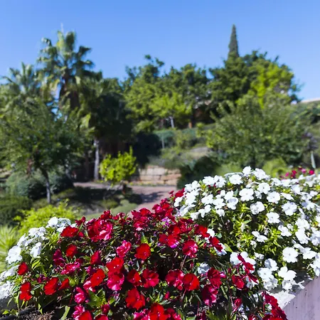 Alanda & Wellness 5*